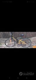 Bici da ragazzo 