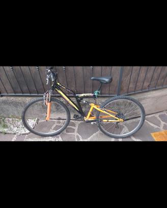 Bici da ragazzo 