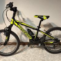 Bici Montana Spidy 20”