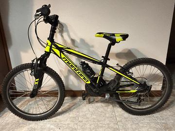 Bici Montana Spidy 20”