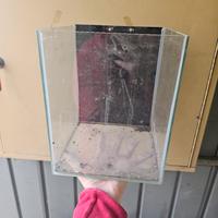 Nano Acquario in vetro 10 Litri (25x20x20 cm)