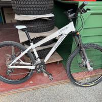 Bicicletta Specialized