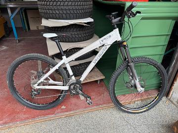 Bicicletta Specialized