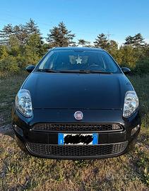Fiat Punto Punto 5p 1.2 60cv selecta