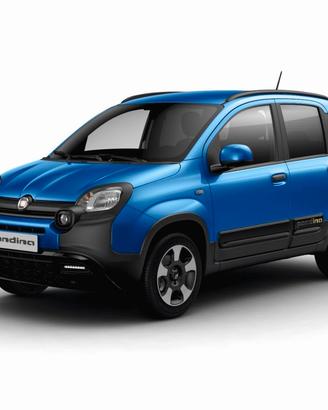 FIAT Pandina Pandina 1.0 FireFly 65 CV Hybrid C...