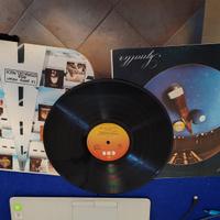 PALLE - SQUALLOR VINILE