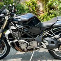 MV Agusta Brutale 910 Serie limitata GLADIO