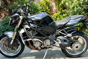 MV Agusta Brutale 910 Serie limitata GLADIO