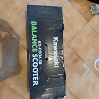 Hoverboard kawasaki kx pro 6.5B