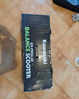 Hoverboard kawasaki kx pro 6.5B