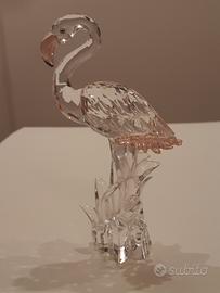 Swarovski Fenicottero