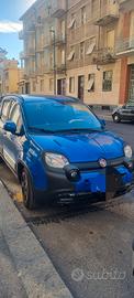 Pandina cross hybrid