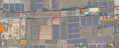 Terreno agricolo di 13000mq