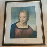 Stampa Testa di Madonna del Cardellino - Raffaello