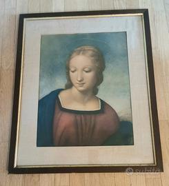 Stampa Testa di Madonna del Cardellino - Raffaello