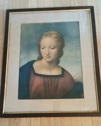 Stampa Testa di Madonna del Cardellino - Raffaello