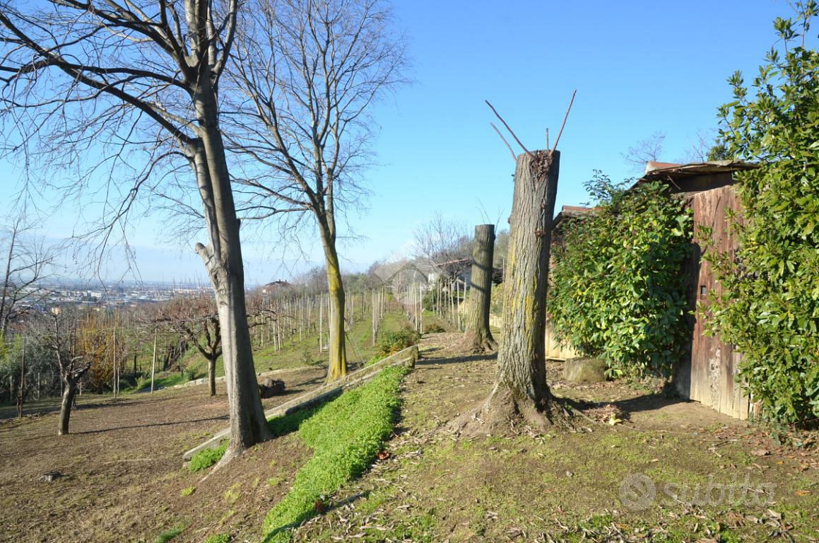 TER. AGRICOLO A CASTELLI CALEPIO - Vista 4