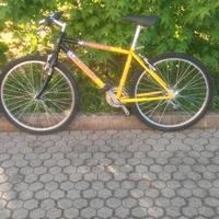 Bicicletta STARGATE LEGNANO  26