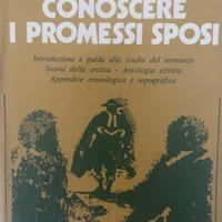 Conoscere i Promessi sposi