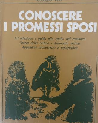 Conoscere i Promessi sposi