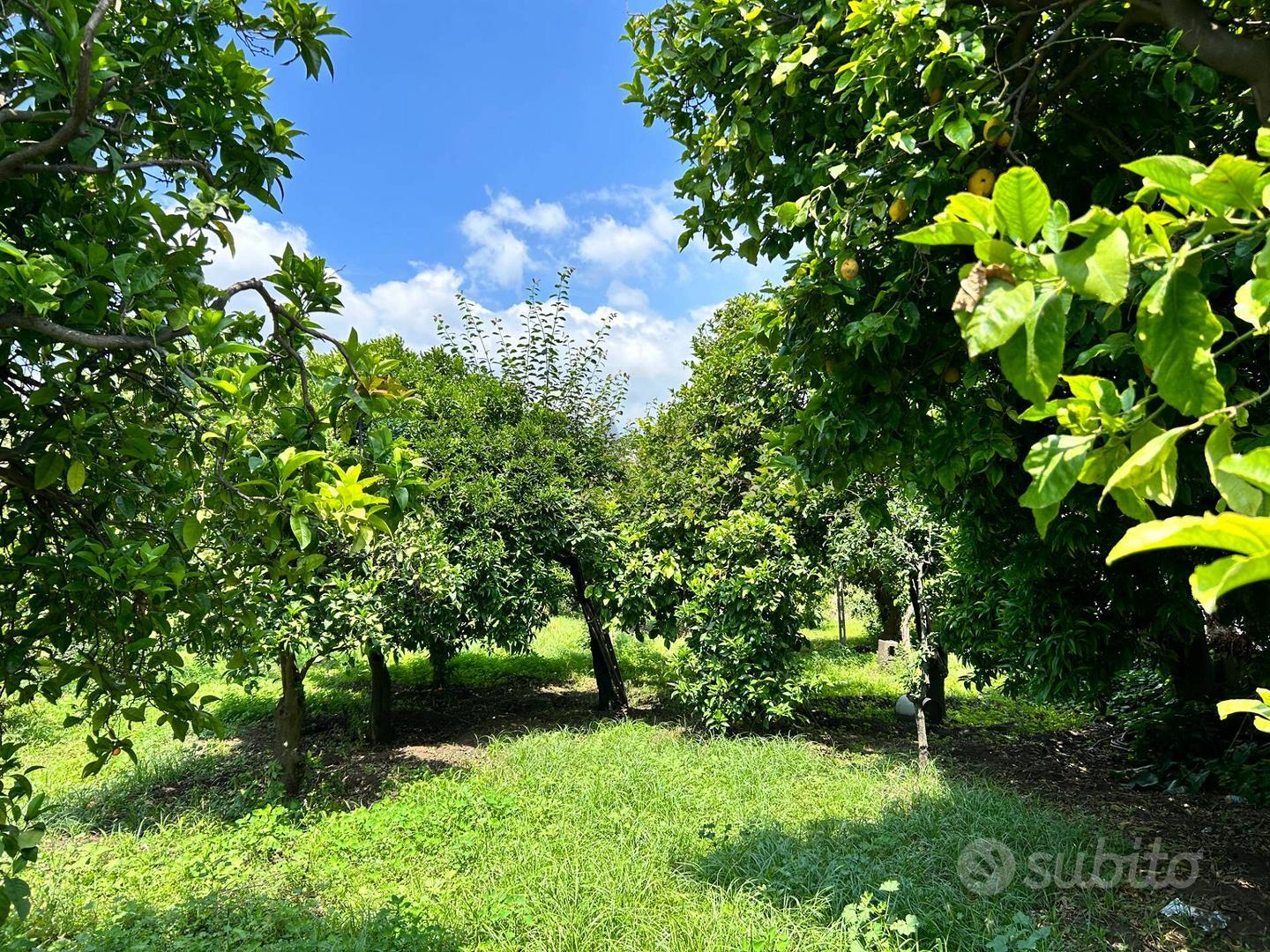 Terreno - Aci Sant'Antonio - Vista 2