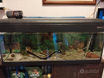 acquario per company 100 lt
