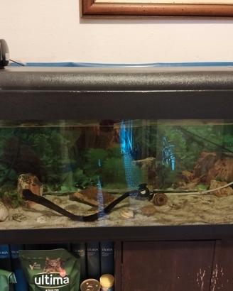 acquario per company 100 lt