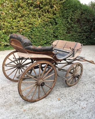 Carrozza per cavalli Pistoiese