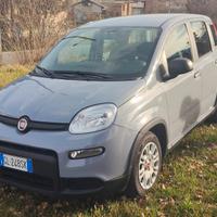 Fiat Panda Easy Power 