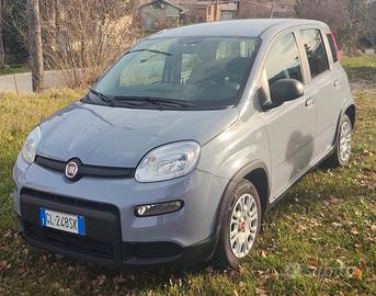 Fiat Panda Easy Power 