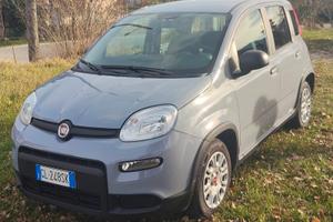 Fiat Panda Easy Power 