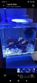 Acquario marino Newa 50 l extrachiaro