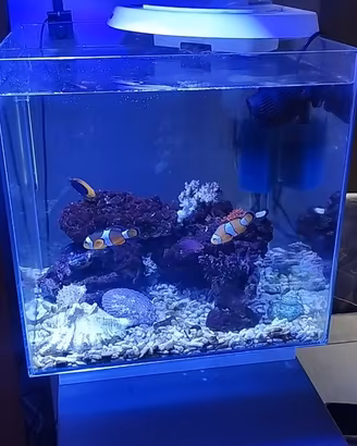 Acquario marino Newa 50 l extrachiaro