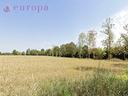 11-ettari-di-terreno-agricolo