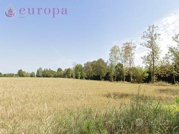 11 ettari di terreno agricolo