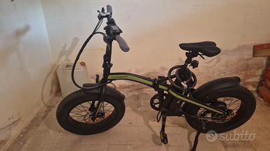 Bicicletta elettrica