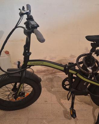 Bicicletta elettrica