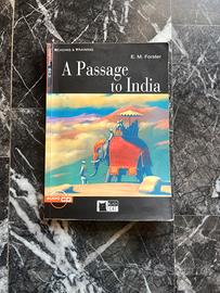 A Passage to India – E.M. Forster Black Cat