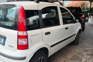 Fiat panda 169