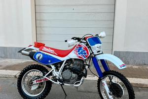 Honda XR 600 Dall’Ara
