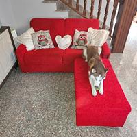 divano letto a ribalta