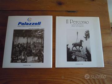 Palazzoli e Cortesi - Fondazione Negri