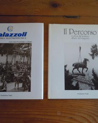 Palazzoli e Cortesi - Fondazione Negri
