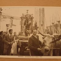 cartolina numerata annullo speciale Massanzago