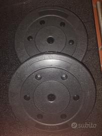 Dischi pesi 26 mm diametro 