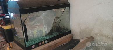 acquario 