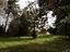 Immagine 5