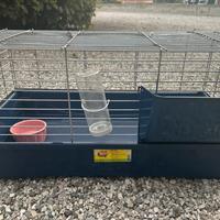 Gabbietta coniglietto