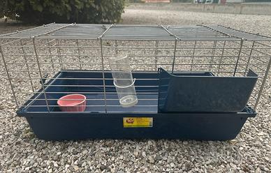 Gabbietta coniglietto