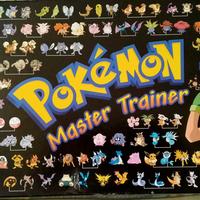 Pokemon master trainer